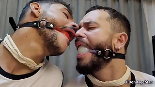 2315 guy guy porn videos
